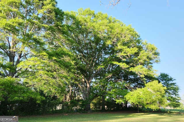 243 College St, Yatesville, GA 31097 - view of green lawn