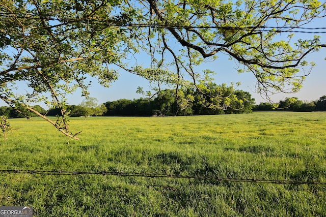 243 College St, Yatesville, GA 31097 - view of yard featuring a rural view
