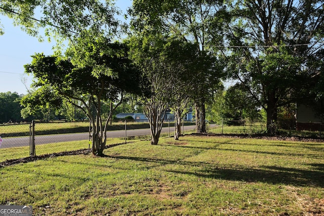 243 College St, Yatesville, GA 31097 - view of yard