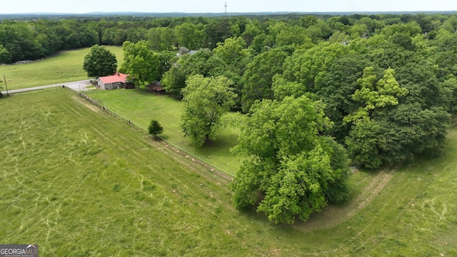 243 College St, Yatesville, GA 31097 - overview of rural landscape