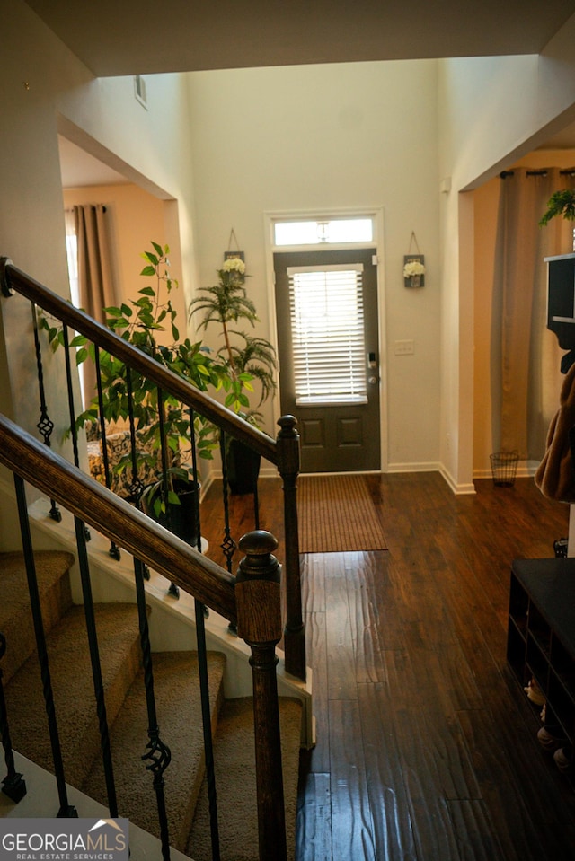 entrance foyer featuring dark wood-type flooring