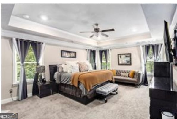 carpeted bedroom with a raised ceiling and ceiling fan