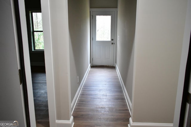 hallway with a healthy amount of sunlight and dark wood-type flooring