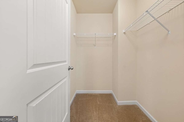 walk in closet featuring carpet