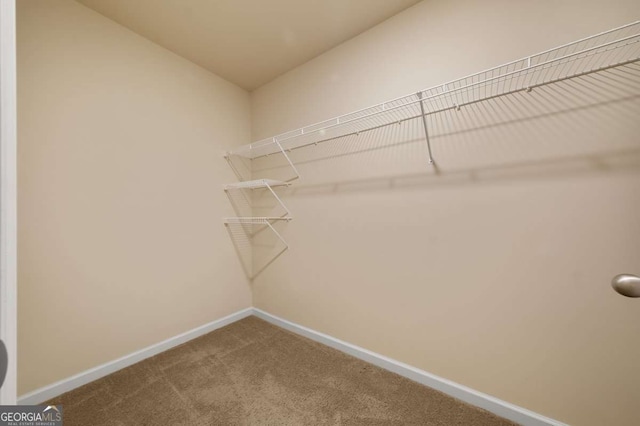 walk in closet with carpet flooring