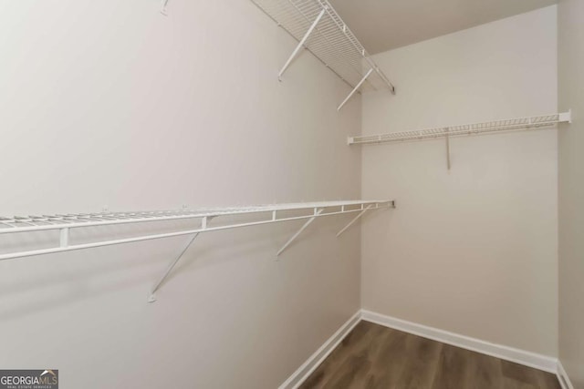 walk in closet featuring dark hardwood / wood-style floors