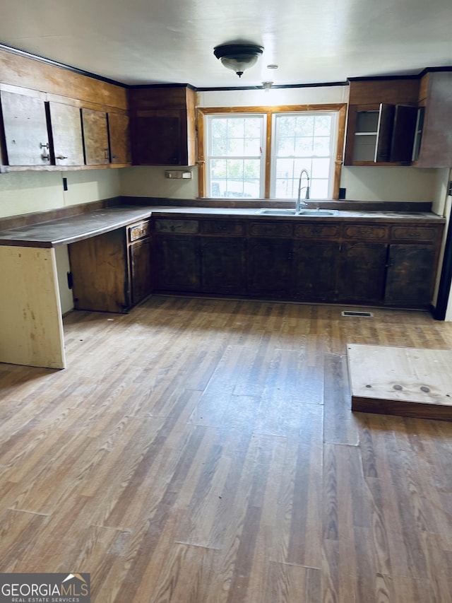 kitchen with sink, dark brown cabinets, and light hardwood / wood-style flooring