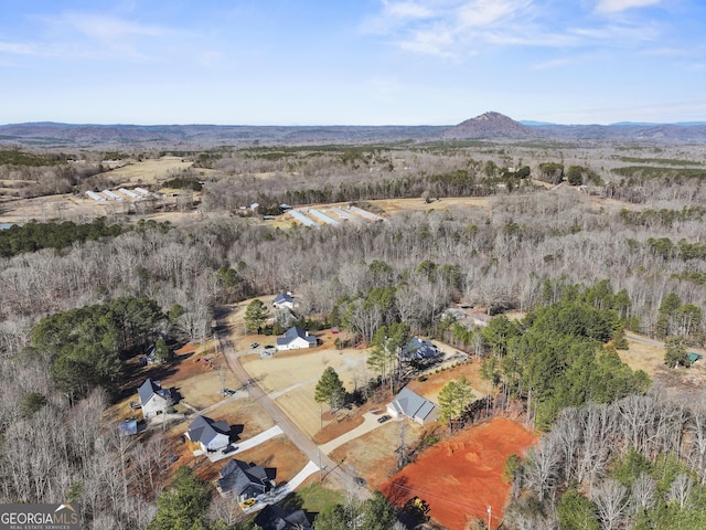 drone / aerial view featuring a mountain view