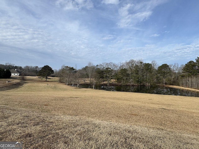 view of yard with a water view