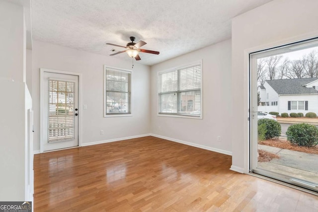 interior space featuring hardwood / wood-style floors, a textured ceiling, and a healthy amount of sunlight