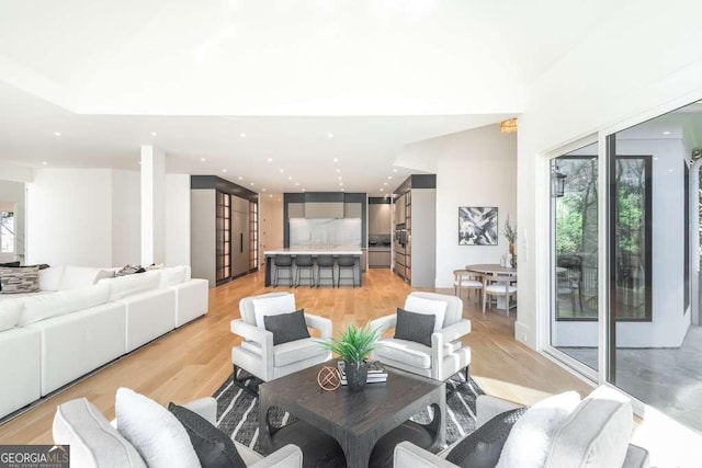 living room featuring light hardwood / wood-style flooring