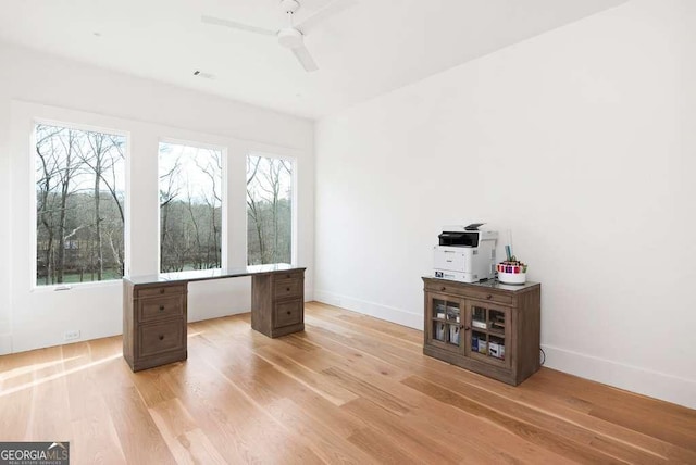 unfurnished office featuring ceiling fan and light wood-type flooring