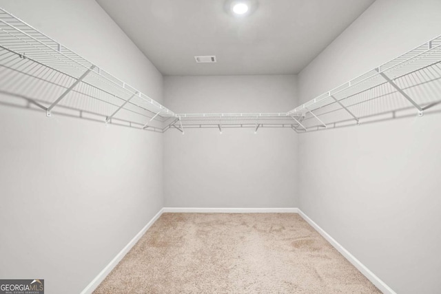 spacious closet with light colored carpet