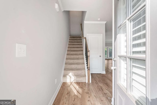 stairs with ornamental molding and hardwood / wood-style floors