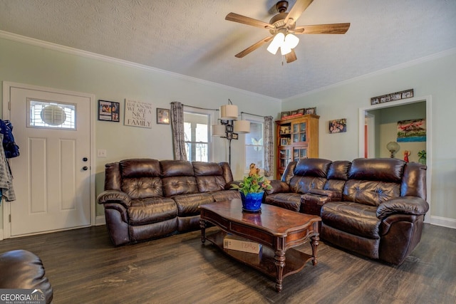 living room featuring dark wood-type flooring, ceiling fan, ornamental molding, and a textured ceiling