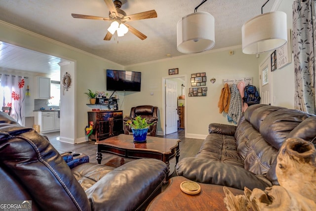 living room featuring crown molding, dark wood-type flooring, a textured ceiling, and ceiling fan