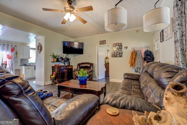 living area featuring baseboards, ornamental molding, and dark wood-style flooring