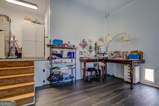 miscellaneous room with ornamental molding, dark wood-type flooring, and a workshop area