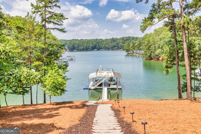 dock area with a water view