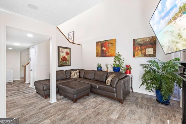 living room featuring wood-type flooring and crown molding