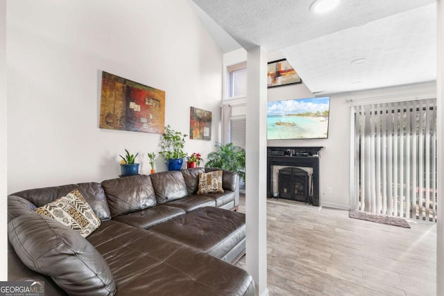 living room featuring hardwood / wood-style floors and a textured ceiling