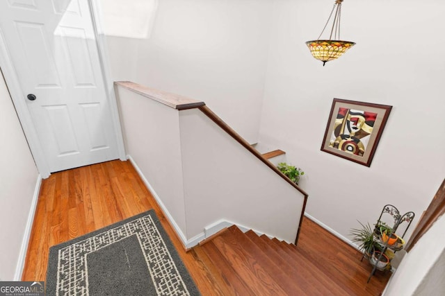 stairs with hardwood / wood-style flooring