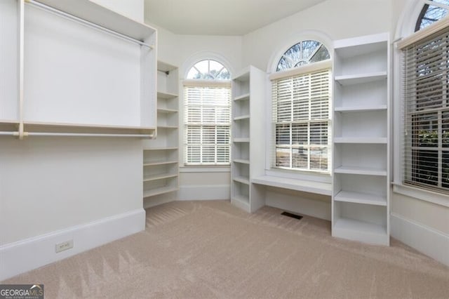 spacious closet with light colored carpet