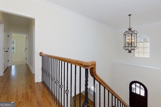 hall featuring crown molding, an inviting chandelier, and hardwood / wood-style floors