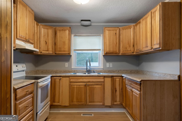 kitchen with sink, a textured ceiling, and white range with electric stovetop