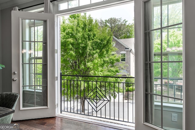 entryway with wood-type flooring