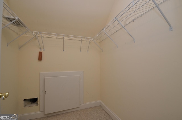 view of spacious closet