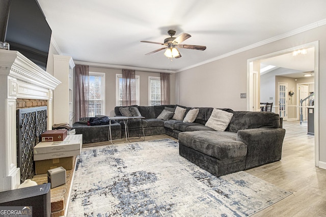 living room with ornamental molding, ceiling fan, and light wood-type flooring