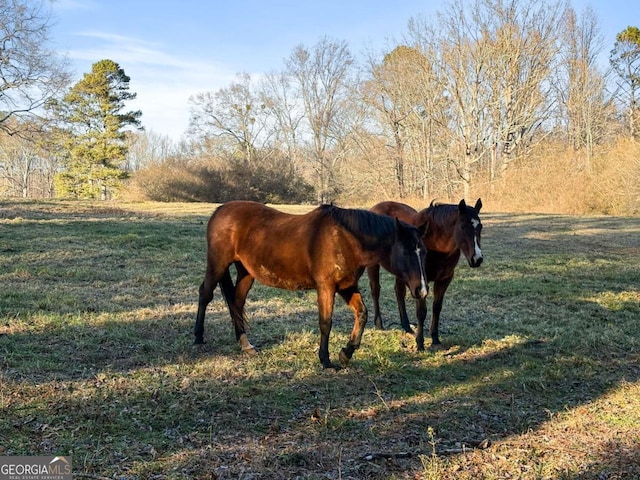 view of horse barn