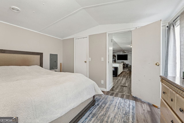 bedroom featuring lofted ceiling and dark hardwood / wood-style floors