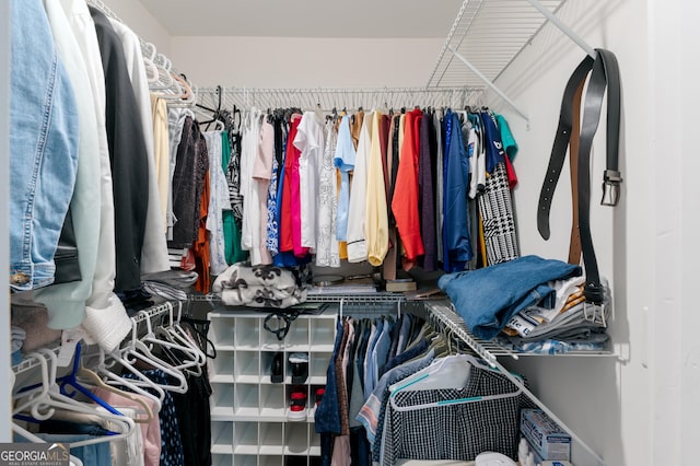 view of walk in closet