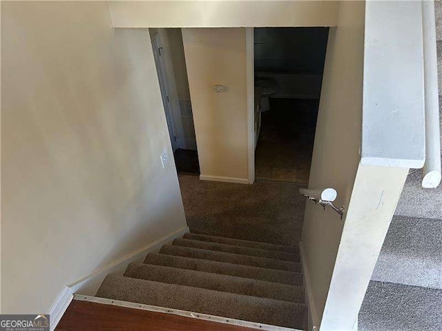 stairway with carpet