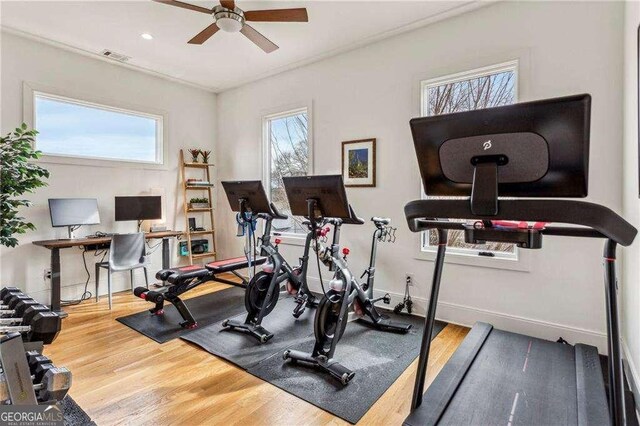 workout room featuring hardwood / wood-style floors and ceiling fan