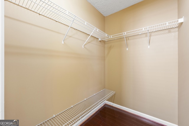 spacious closet with hardwood / wood-style flooring