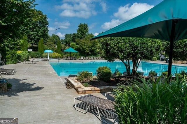 view of pool featuring a patio