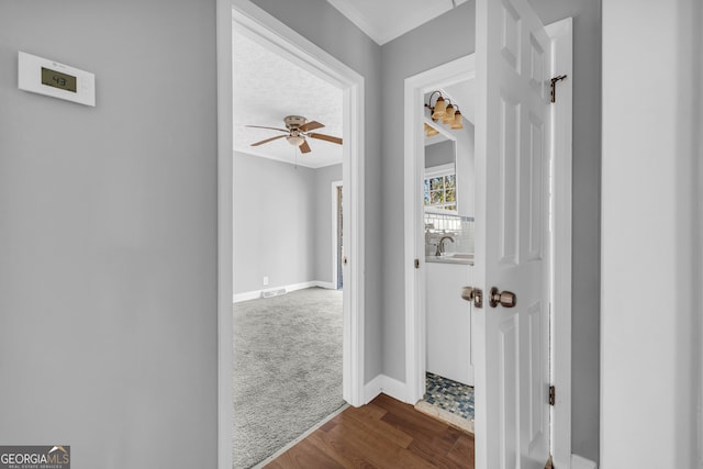 corridor with hardwood / wood-style flooring