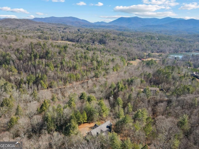 property view of mountains