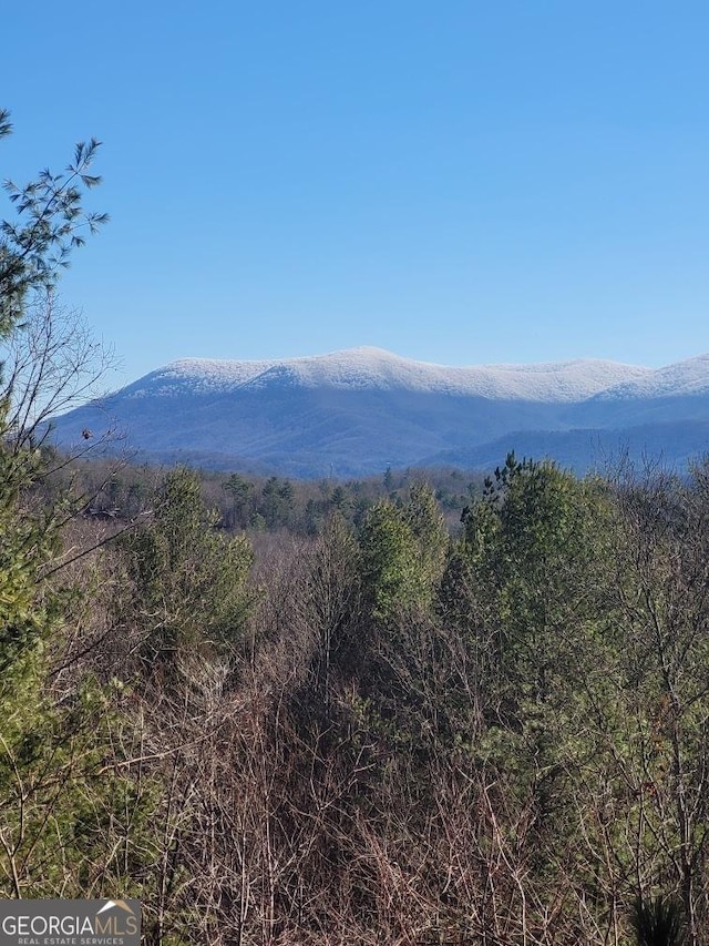 view of mountain feature