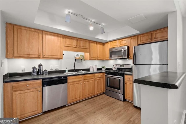 kitchen featuring stainless steel appliances, a raised ceiling, sink, and light hardwood / wood-style flooring