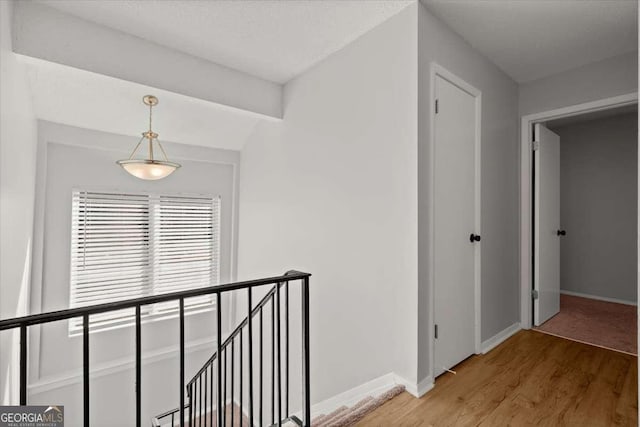 hallway featuring wood-type flooring