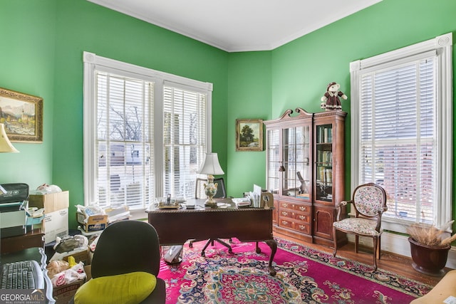 office area featuring hardwood / wood-style flooring, a healthy amount of sunlight, and crown molding