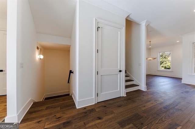 hallway featuring dark wood-type flooring