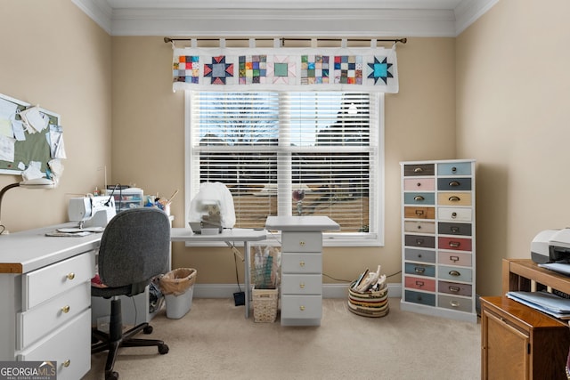 carpeted office featuring ornamental molding