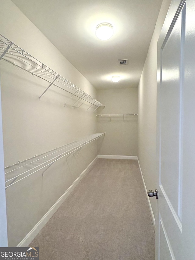 walk in closet featuring carpet floors