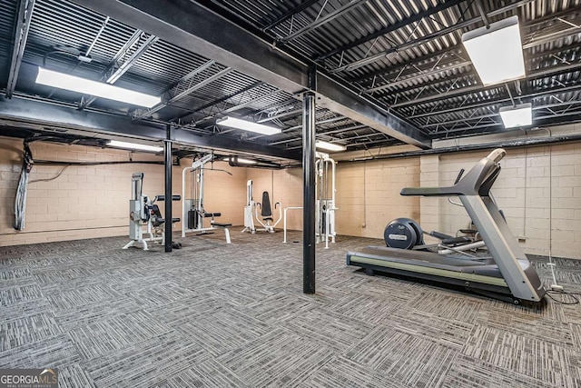 exercise area featuring carpet