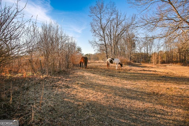 view of yard with a rural view